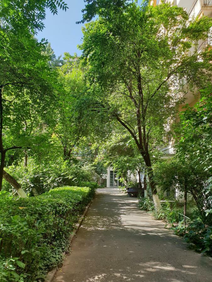 Central Luxury Flat With Terrace - Adela Accommodation - Ideal For Long Stays Bukarest Exteriör bild